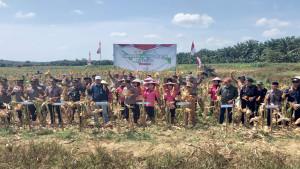 PANEN-RAYA-r3ewr2.jpg