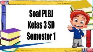 Pembahasan-soal-ujian-sekolah-PLBJ.jpg