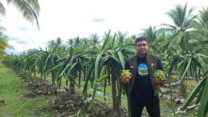 Penyuluh-pertanian-lapangan-PPL-Kecamatan-Jawai.jpg