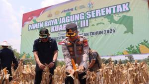 PolresSintang-Sintangjagung.jpg