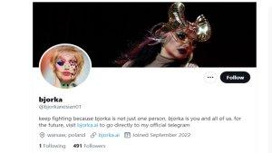 Profil-akun-Twitter-bjorkanesian01-diduga-akun-baru-milik-hacker-Bjorka.jpg