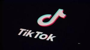 RESMI-Izin-TikTok-Dibekukan-Lengkap-Alasan-Pemerintah-Indonesia-Terancam-Diblokir.jpg