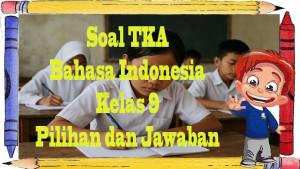 SOAL-TKA-Kelas-9-cvbnvbh.jpg
