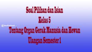 Soal-Kelas-5-Organ-Gerak.jpg