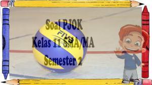 Soal-PJOK-Kelas-11-Bola-Voli.jpg