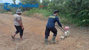 TANAM-JAGUNG-230935.jpg