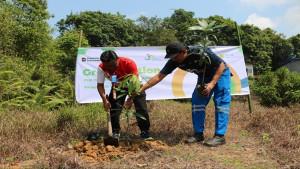 TANAM-POHON-234ewdf.jpg