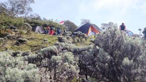 Taman-Nasional-Gunung-Gede-Pangarango-TNGGP.jpg