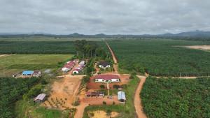 Tegaskan-komitmen-untuk-dukung-program-Electrifying-Agriculture-PLN-memasok.jpg