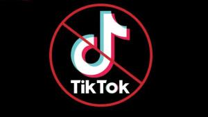 TikTok-Dilarang.jpg