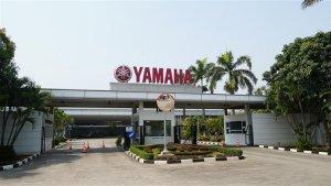 YIMM-meraih-GREEN-PROPER-Award.jpg