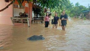 kondisi-banjir-di-sejumlah-desa-di-kecamatan-tumbang-titi.jpg