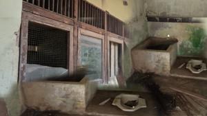 sekolah-rusak-sambas-r4354676.jpg