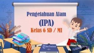soal-IPA-kelas-6-SD-Semester-2-Kurikulum-Merdeka.jpg