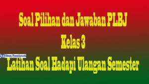 soal-plbj-kelas-3-mkljo.jpg