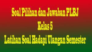 soal-plbj-kelas-5-dcfvgb.jpg