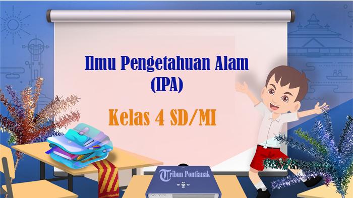 30 SOAL UTS IPA Kelas 4 SD Semester 2 Kurikulum Merdeka 2025, Kunci Jawaban STS PTS Pilihan Ganda