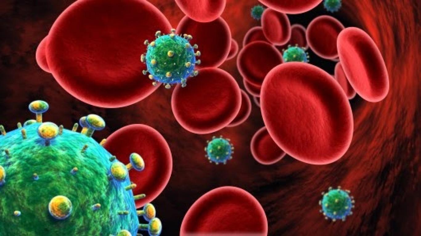 Ini Fakta Dibalik Temuan 28 Kasus HIV Baru di Mempawah Sepanjang 2026, Mayoritas Kelompok Gay - Tribunpontianak.co.id