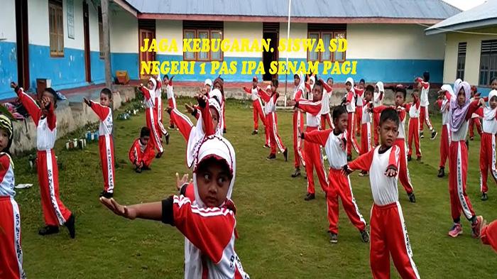 29-Daftar-SD-di-Kecamatan-Belitang-Hilir-Kabupaten-Sekadau-2025.jpg