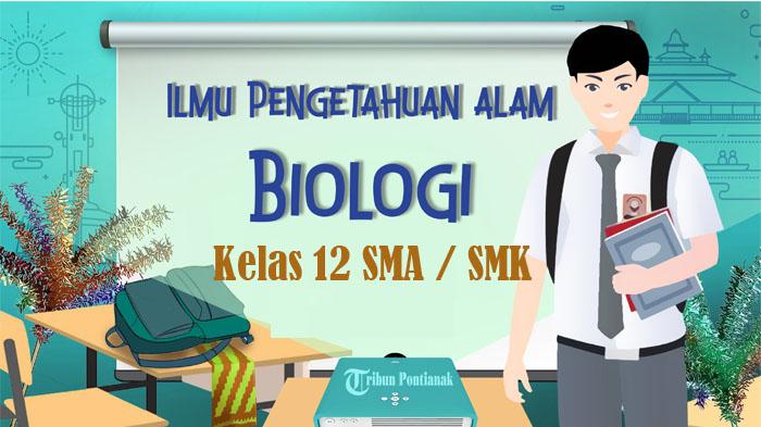 45-SOAL-Ujian-Sekolah-Biologi-Kelas-12-SMA-SMK-Kunci-Jawaban-UAS-PAS-SAS-Semester-1.jpg