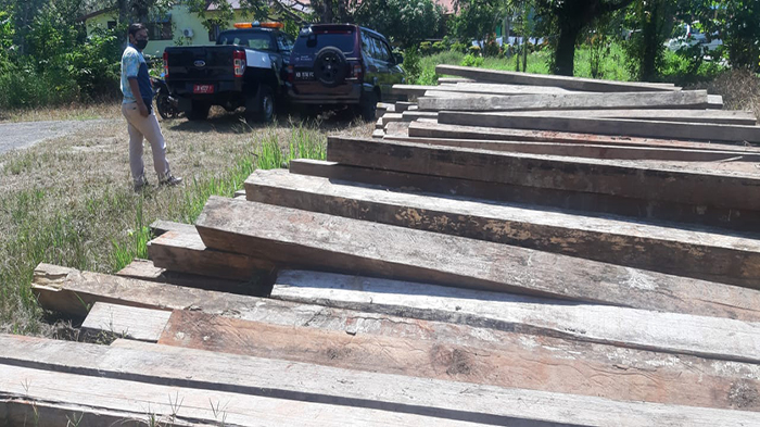 Kantor KPH Amankan 200 Batang Kayu di Lokasi Ilegal Logging di Putussibau Utara