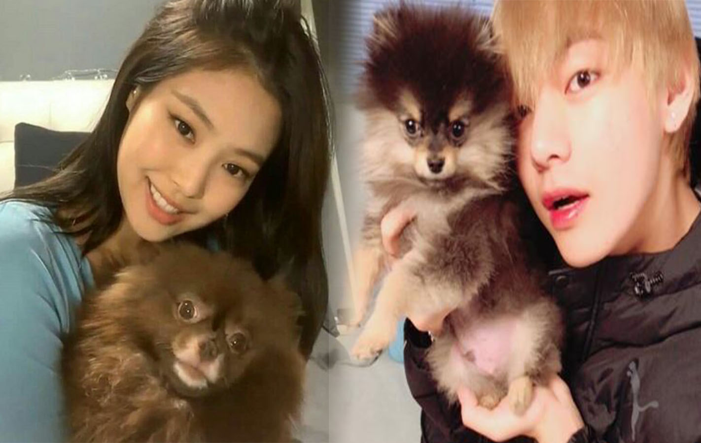 8-potret-menggemaskan-idola-k-pop-dengan-anjing-kesayangan-imutnya-v-bts-hingga-jennie-blackpink.jpg
