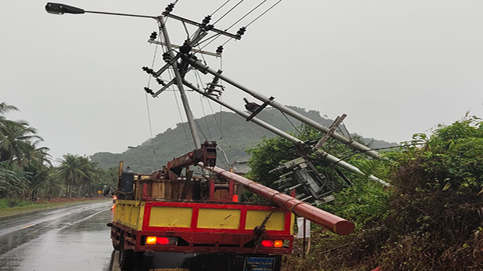 PLN ULP Pemangkat Perbaiki Tiang Listrik Yang Tumbang Karena Hujan Deras dan Angin Kencang