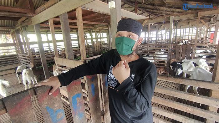 Ahmad-Peternak-Kambing-di-Desa-Mega-Timur-Kecamata23efd.jpg