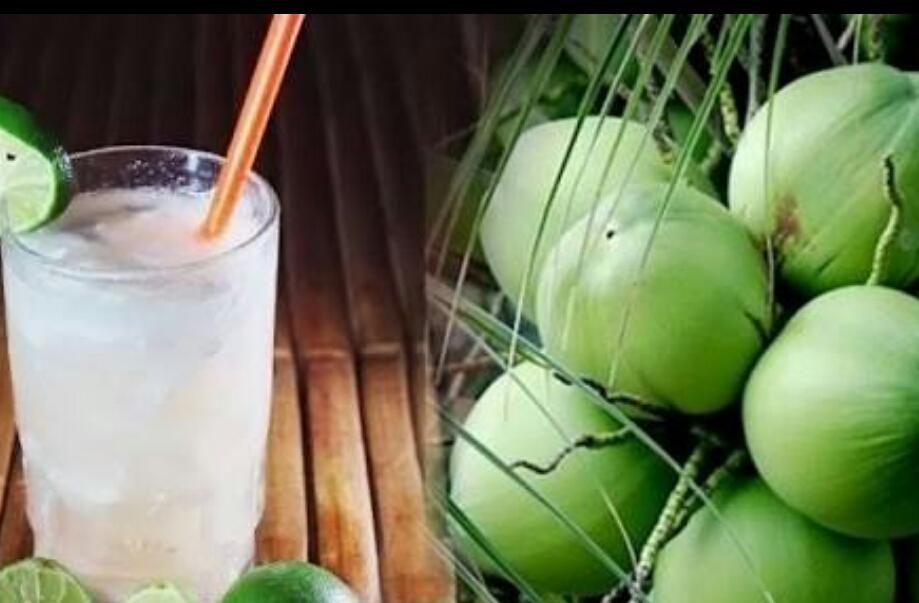 Air-kelapa-juga-tidak-diperbolehkan-bagi-penderita-asam-lambung.jpg