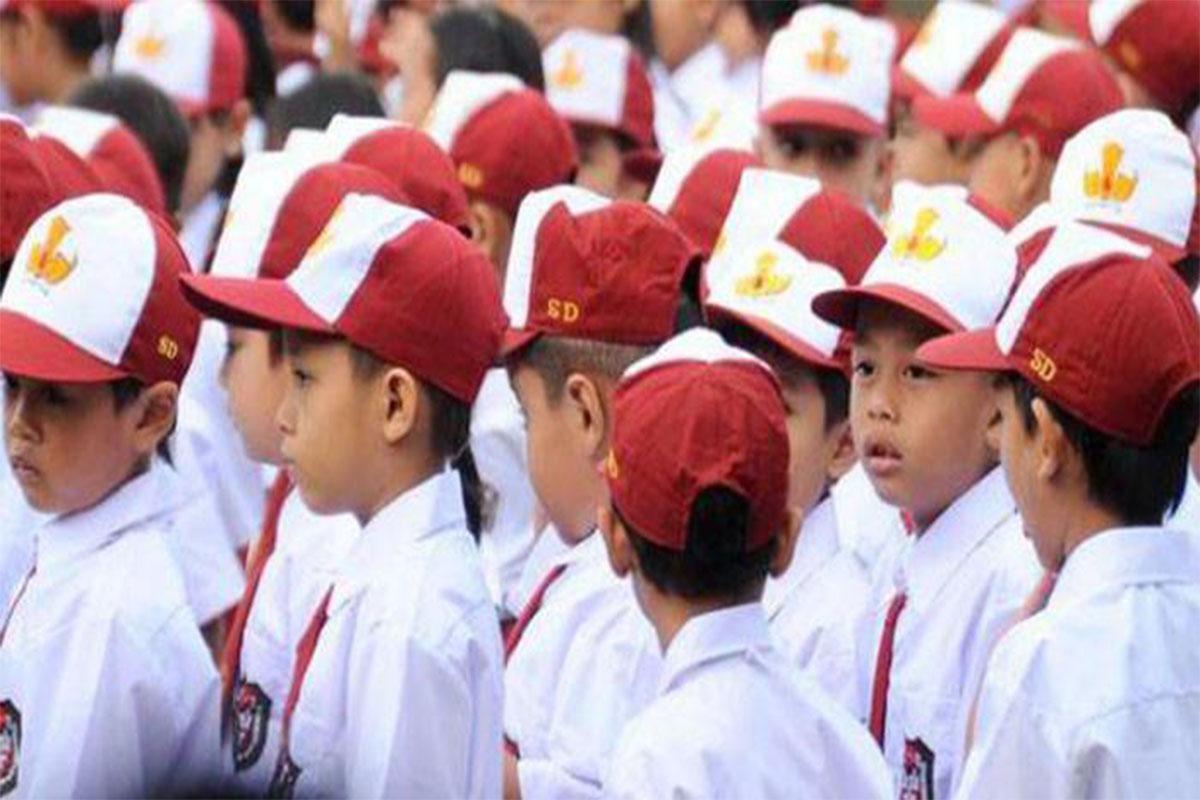 Daftar 37 SD Negeri di Kecamatan Simpang Hulu, Kabupaten Ketapang, Kalimantan Barat - Tribunpontianak.co.id