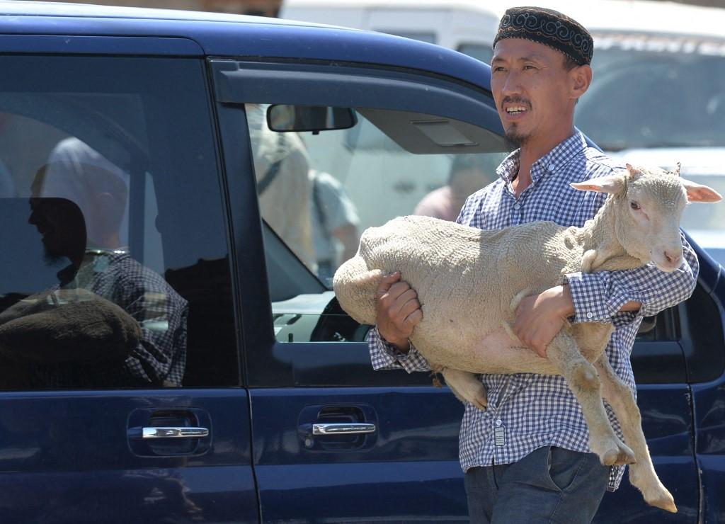 Apa Larangan Orang yang Mau Berkurban ? Ini Sunnah yang Dianjurkan Ditunaikan Sampai Hari Pemotongan