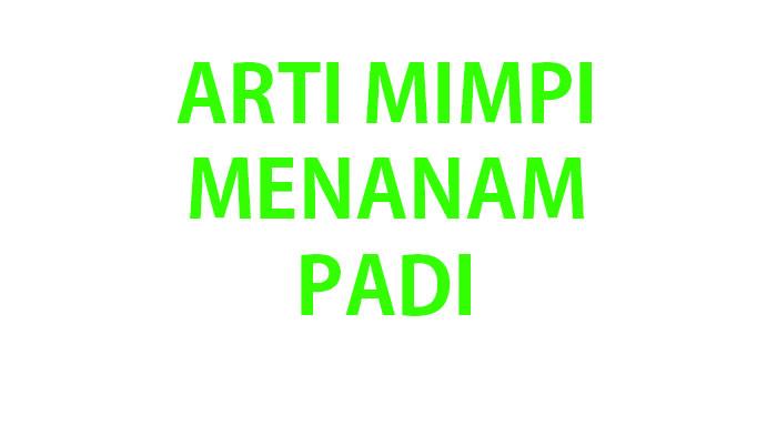 Arti-mimpi-menanam-padi.jpg