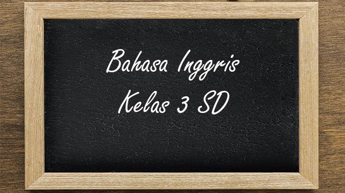 Bahasa-Inggris-Kelas-3-SD-Semester-1-Kurikulum-Merdeka.jpg