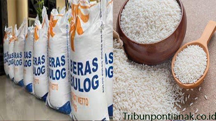 Beras-Bulog-Kemasan-50-Kg-untuk-Bansos-pangan.jpg