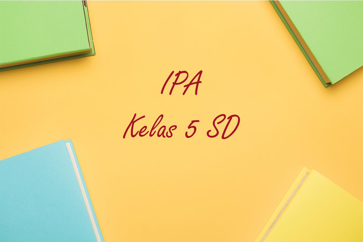 Berikut-soal-IPA-Kelas-5-SD-Semester-1-Kurikulum-Merdeka22.jpg
