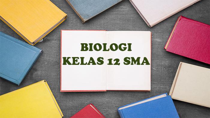 50 soal  Essay Biologi Kelas 12 Ulangan/Ujian Semester Terbaru Kurikulum Merdeka dan Kunci Jawaban