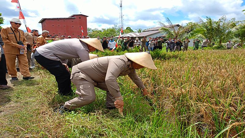 Bupati-Ketapang-Alexander-Wilyo-saat-ikut-panen-raya23423w.jpg