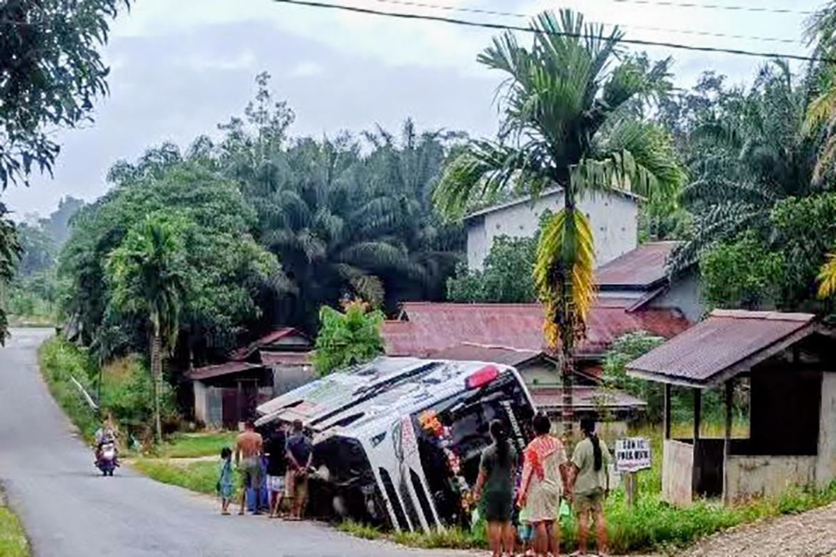 Jalan Sempit Berpapasan dengan Truck, Bus Rehobot Pontianak - Putussibau Tumbang ke Tepi Jalan