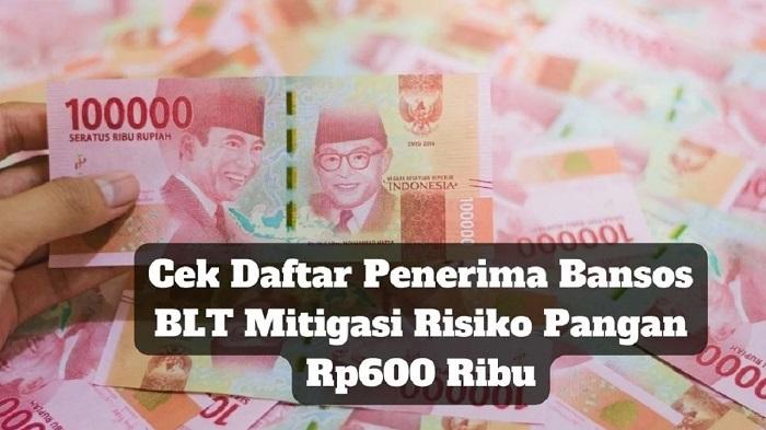 Daftar-Sejumlah-Bansos-yang-hadir-bulan-Juni-2024-termasuk-BLT-mitigasi-Resiko-pangan.jpg