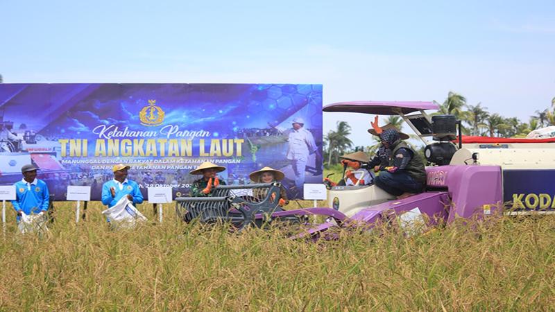 Panen Raya di Jungkat Jadi Bukti Sinergi TNI dan Masyarakat Wujudkan Ketahanan Pangan Nasional