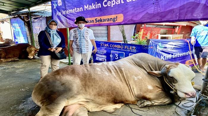 Majlis Taklim XL Axiata Salurkan Hewan Kurban untuk Bantu Masyarakat