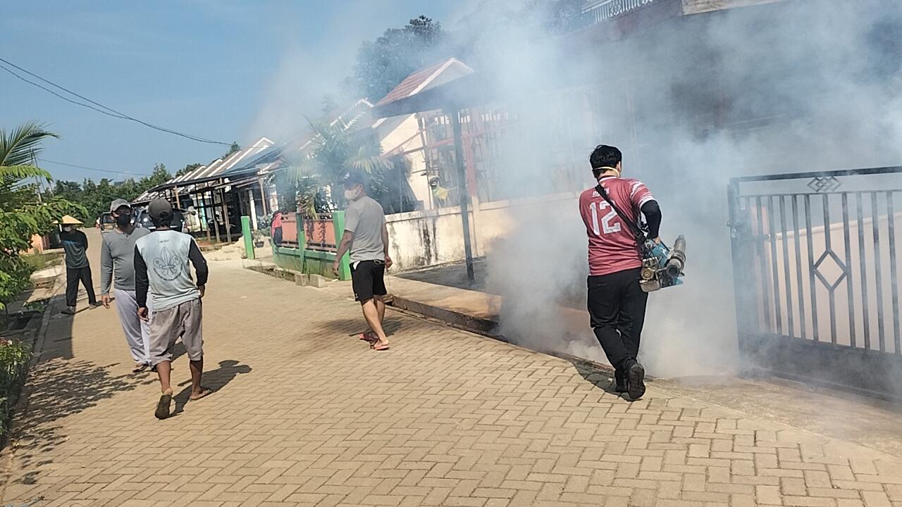 Kasus DBD Kapuas Hulu Capai 286 Orang, Dinkes dan Warga di Putussibau Lakukan Fogging - Tribunpontianak.co.id