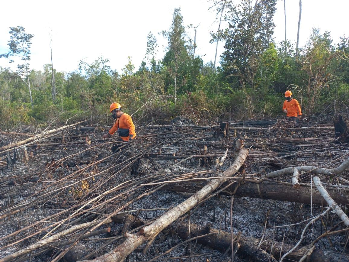 Musim Kemarau, BPBD Kapuas Hulu Ingatkan Warga Jangan Bakar Hutan dan Lahan