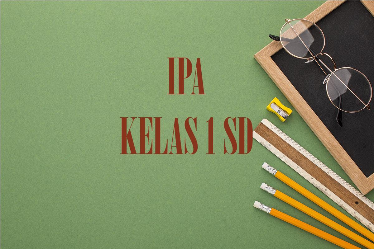 Contoh Soal Sumatif Akhir Tahun IPA Kelas 1 SD