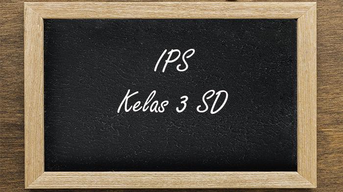 60 Soal dan Jawaban PTS IPS Kelas 3 SD Semester 1 Kurikulum Merdeka 2025