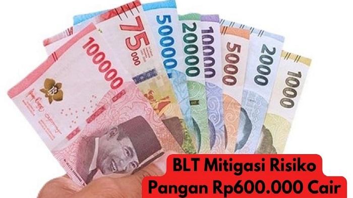 BLT Mitigasi Risiko Pangan Rp600 Ribu Cair Bulan Juli 2024 Ini? Segera Cek Melalui Situs Ini
