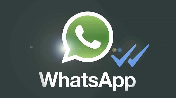 Ilustrasi-WhatsApp-dengan-centang-biru.jpg