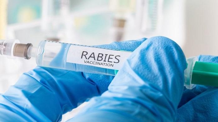 Satgas Penanganan Rabies di Kalbar Akan Dibentuk, RSUD dr Soedarso Beri Suntikan VAR ke 102 Pasien