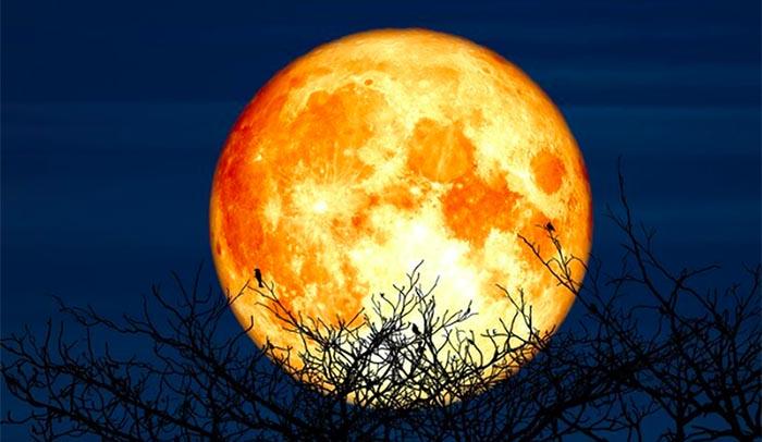JADWAL Fenomena Langka di Atas Langit Indonesia September 2024 Lengkap Tanggal Supermoon dan Gerhana