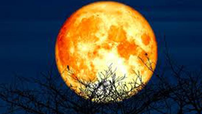 Jadwal Fenomena Supermoon 2026 di Langit Indonesia Lengkap Tanggal dan Wilayah Terdampak